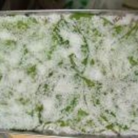 桜の葉っぱの塩漬け レシピ 作り方 By はるかサン 楽天レシピ 桜の葉っぱの塩漬け レシピ 作り方 By はるかサン 楽天レシピ